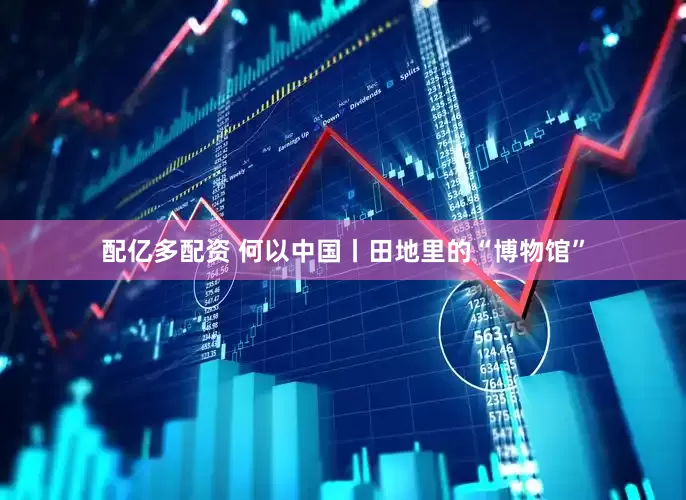 配亿多配资 何以中国丨田地里的“博物馆”