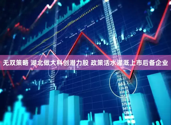 无双策略 湖北做大科创潜力股 政策活水灌溉上市后备企业
