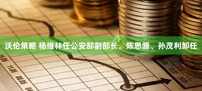 沃伦策略 杨维林任公安部副部长，陈思源、孙茂利卸任