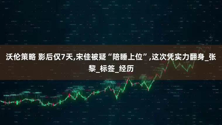 沃伦策略 影后仅7天,宋佳被疑“陪睡上位”,这次凭实力翻身_张黎_标签_经历