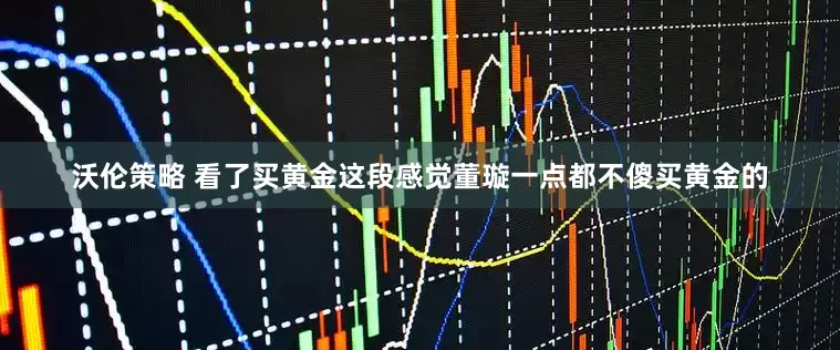 沃伦策略 看了买黄金这段感觉董璇一点都不傻买黄金的
